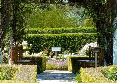 Two benches facing each other underneath pergola