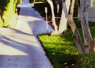 A walkway on MPTF campus