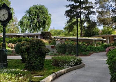 Walkway on campus with a clock on the left side