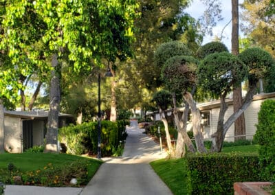 Walkway with grass and trees on either side