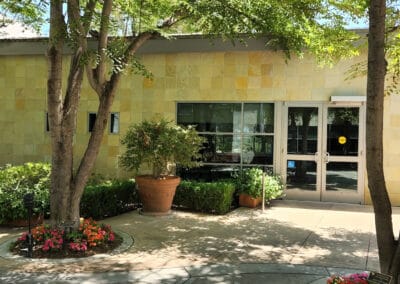 Trees in front of a building entrance